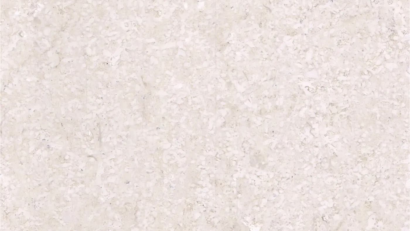 Bianco Coral Marble — Marmor