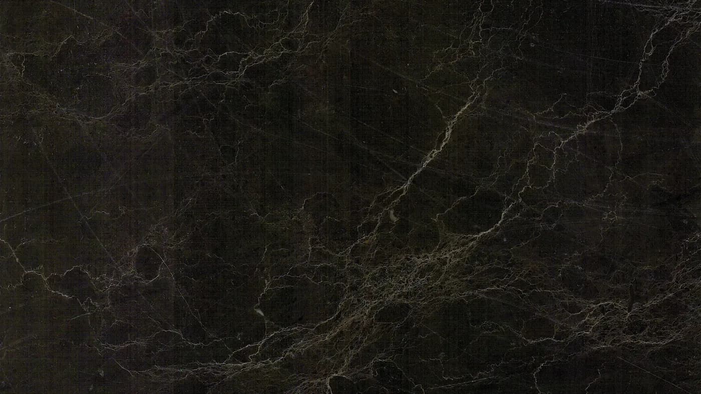 Black Mamba Marble — Marmor