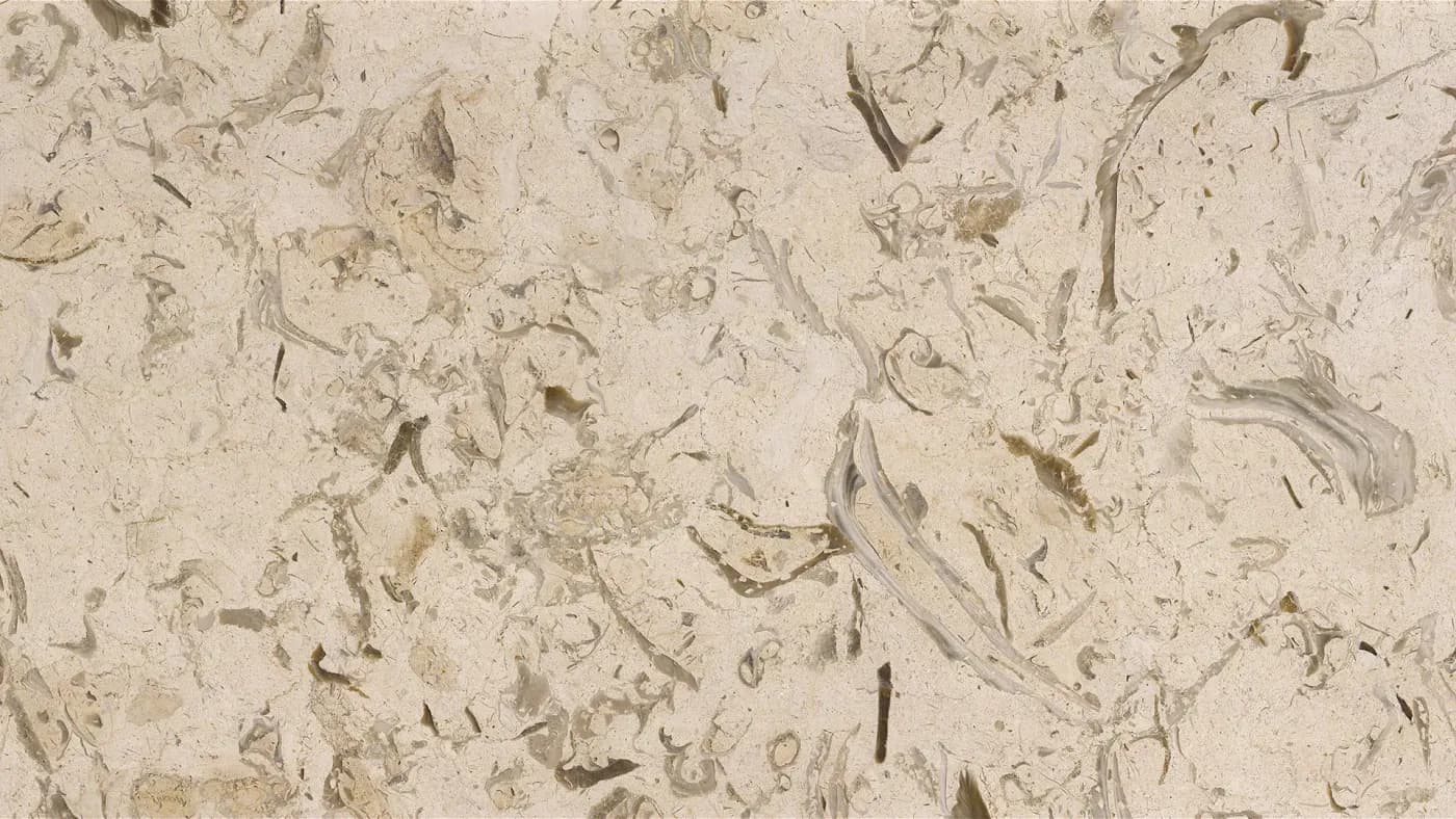 Fossil Marble — Marmor