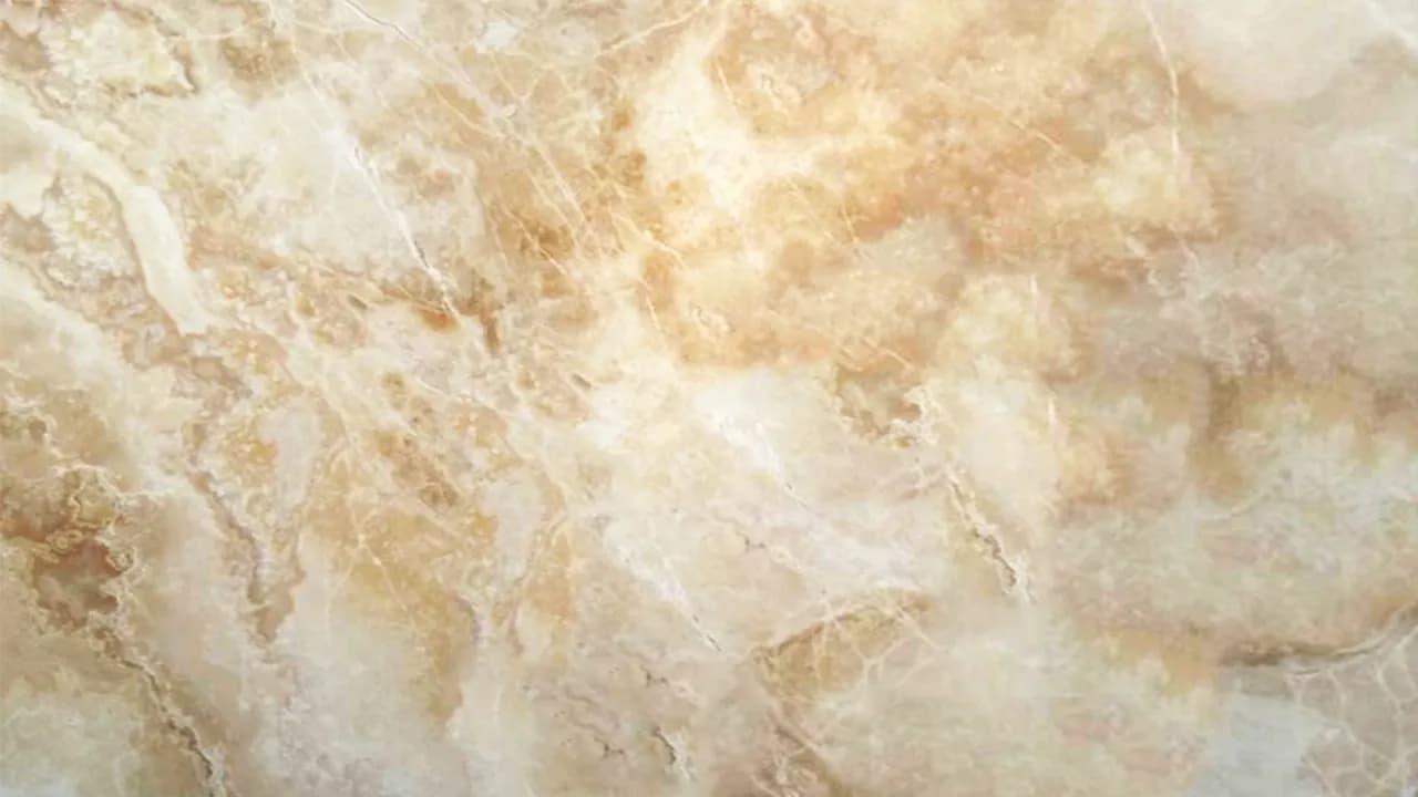 Honey Traonyx — Onyx