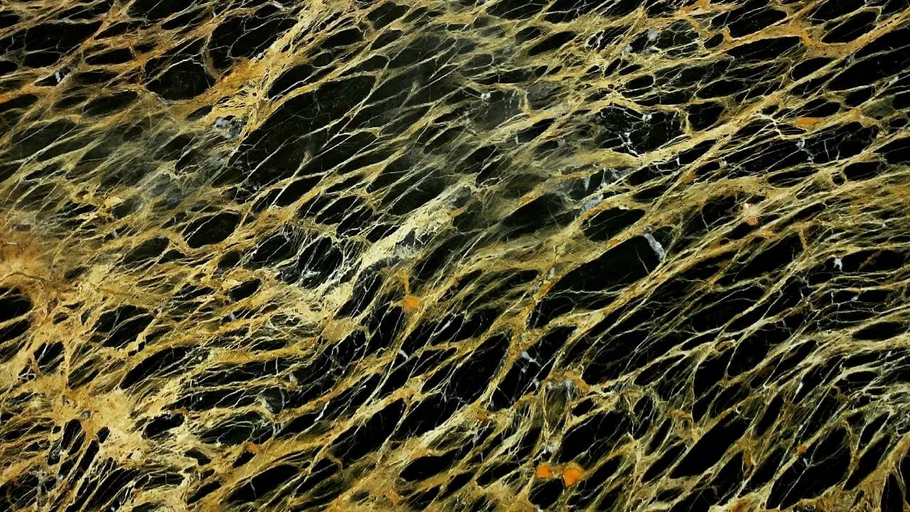 Portoro Marble — Marmor